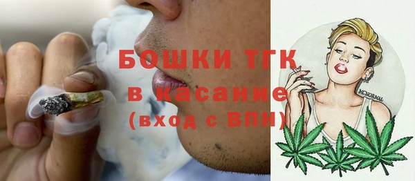 тгк Снежногорск