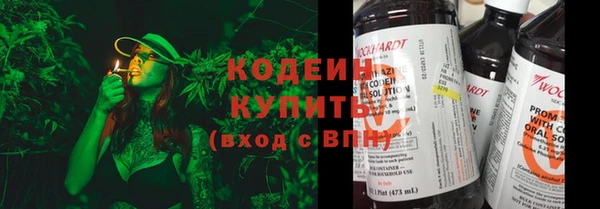 тгк Снежногорск