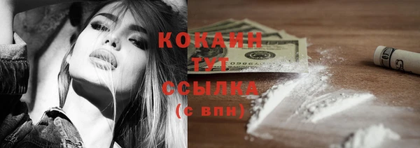 дживик Снежинск