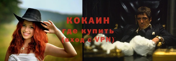 дживик Снежинск