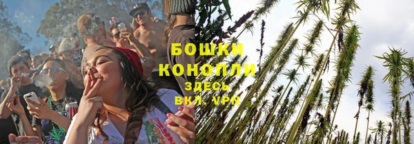 тгк Снежногорск