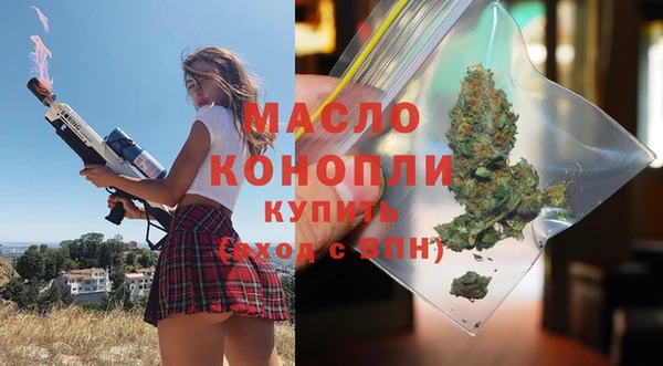 тгк Снежногорск