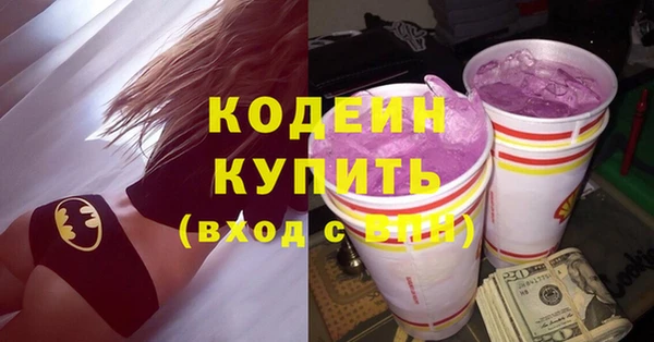 тгк Снежногорск