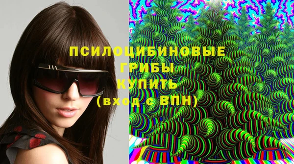 дживик Снежинск