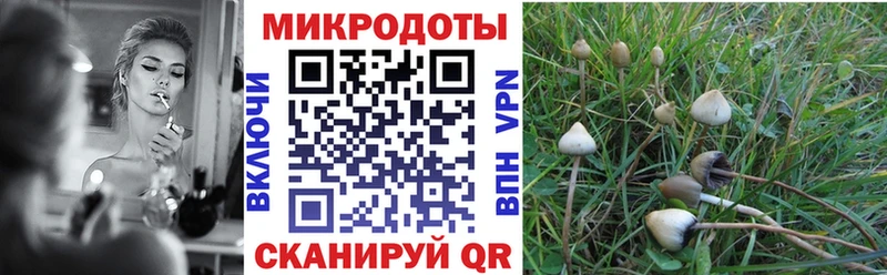 Галлюциногенные грибы Psilocybine cubensis  Купить  Артёмовск 